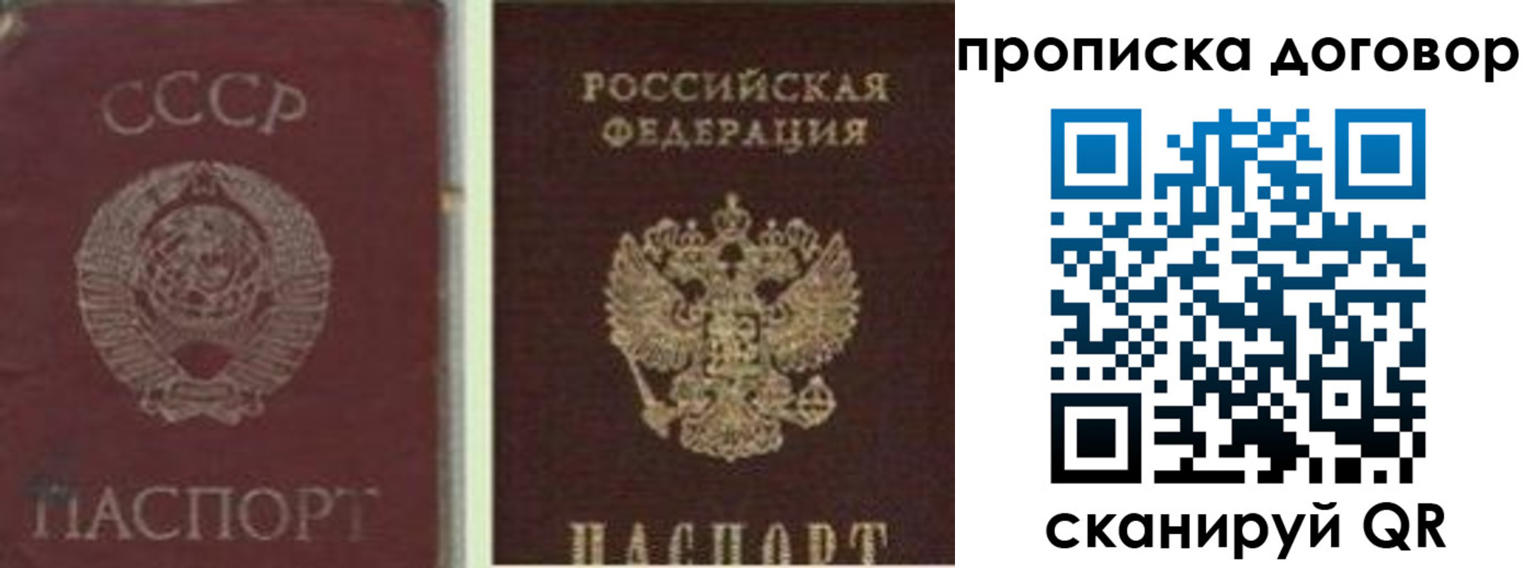 прописка гарантия в Серове